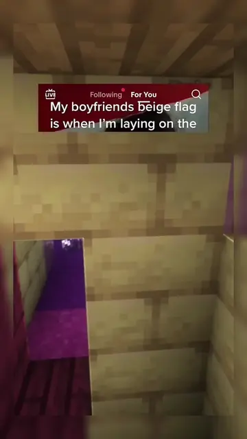 My boyfriend’s beige flage ? #story #minecraftparkour #justagirl #aita 