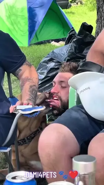 Some things dogs do are completely normal to them… but watching it as a human ca
