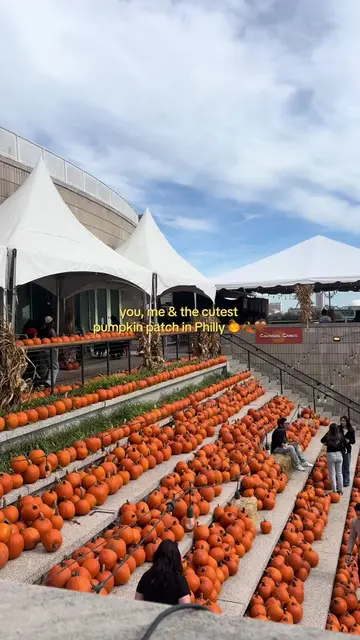 @Cityside Pumpkin Patch looks like they open on oct 1st #phillytiktok #pumpkinpa