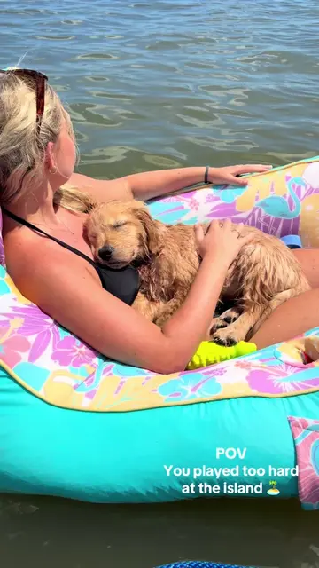 First boat/island day 🥹🐠#goldenretrieverpuppy #dogmom #puppylife #goldenretrie