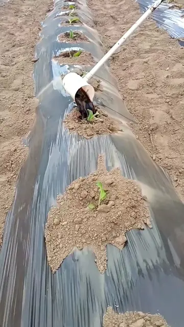 Long handle liquid fertilizer to