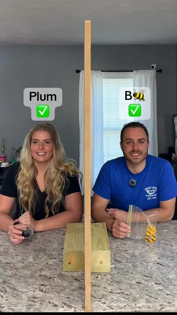 Lying Challenge... but he has A BEE?!?!😳🤣🐝 #lyingchallenge #coupleschallenge 