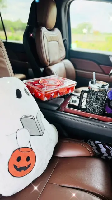 🎃👻 FALLOWEEN VIBES! 👻🎃 I LOVE to decorate, and my truck is no exception! 🖤 
