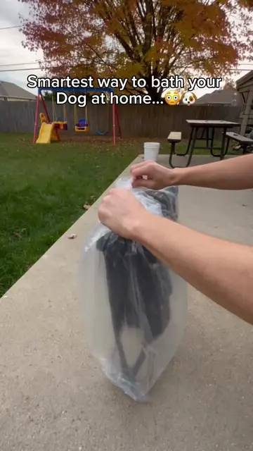 Type paw if you need it!🧼 #dogmom #dogcare #doggie #petgrooming #doggrooming 