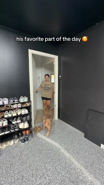 the garage is his favorite spot as well 😌 #amazon #amazonfinds #homegym #dog #f