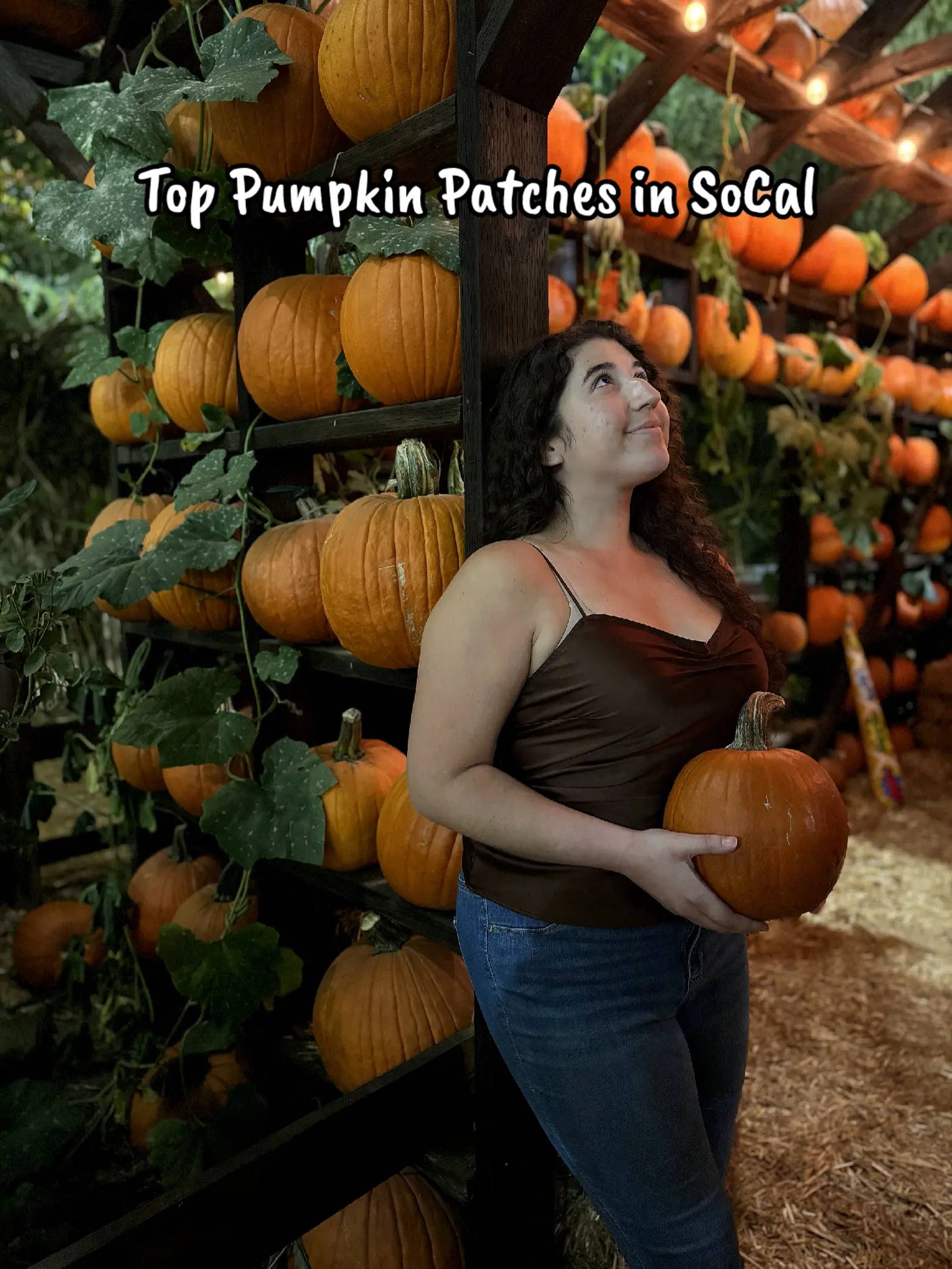 Come back for Haunted Maze locations next! Which place have you been to before? 
