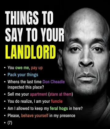 These phrases are not jokes. They are high-stakes, carefully calibrated communic