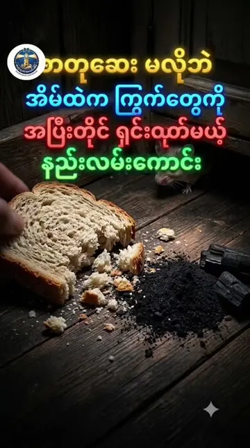 ​ဓာတုဆေး မလိုဘဲ အိမ်ထဲက ကြွက်တွေကို အပြီးတိုင် ရှင်းထုတ်မယ့် နည်းလမ်းကောင်း 🔥 ​