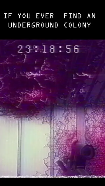 Project Euclayptus out now on YOUTUBE! Your support would mean the world!! #anal