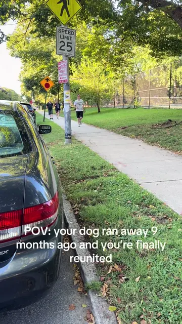 January 22 2026 my dog ran away from home. I spent countless hours looking for h