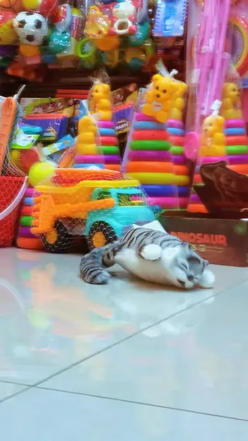 Rolling Cat  Toy Max Y BLOCK DHA phase 3  #toys #viralvideo #TrendingToys #TOYMA