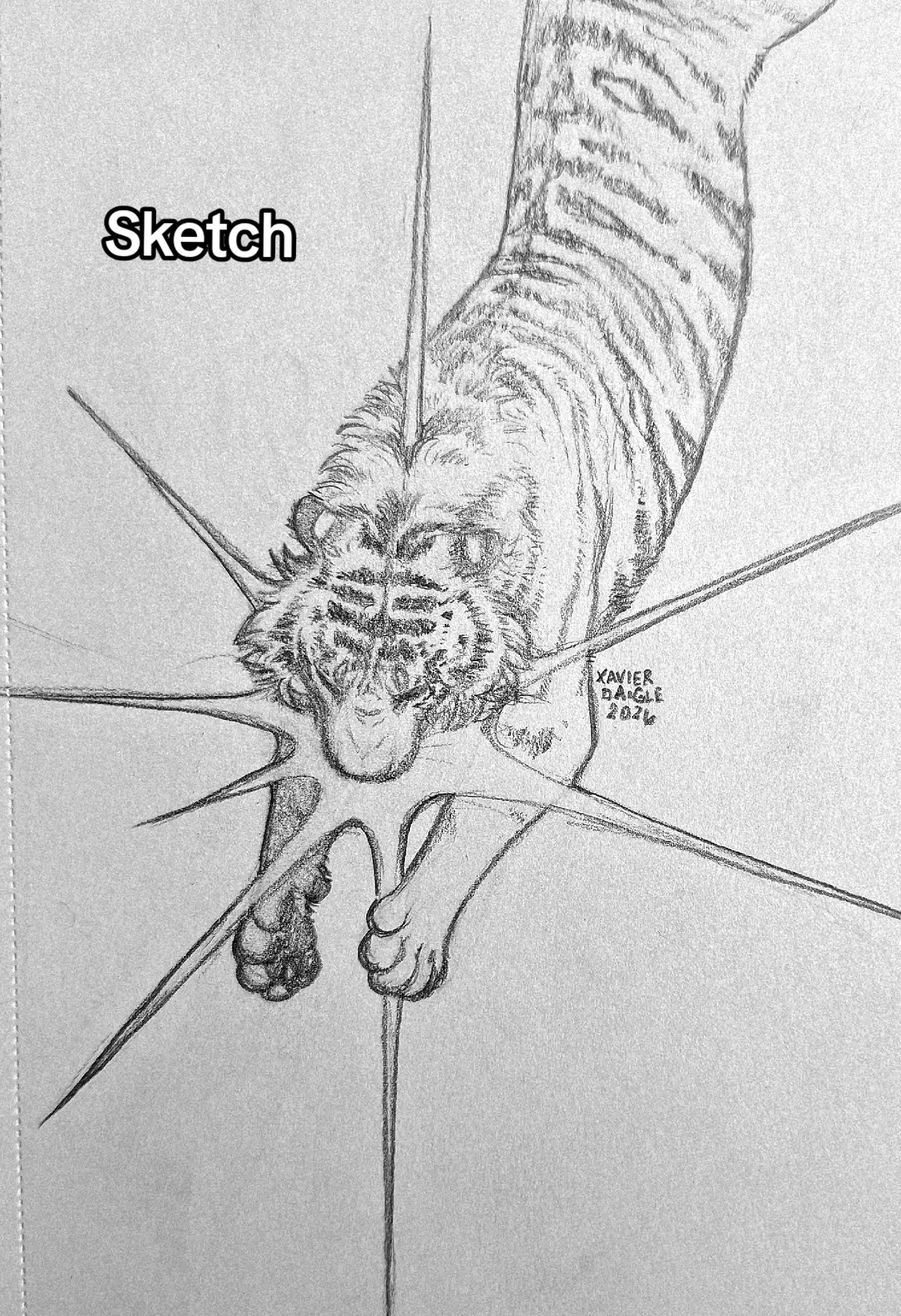 My first time drawing an inverted ballpoint piece like this without a reference 