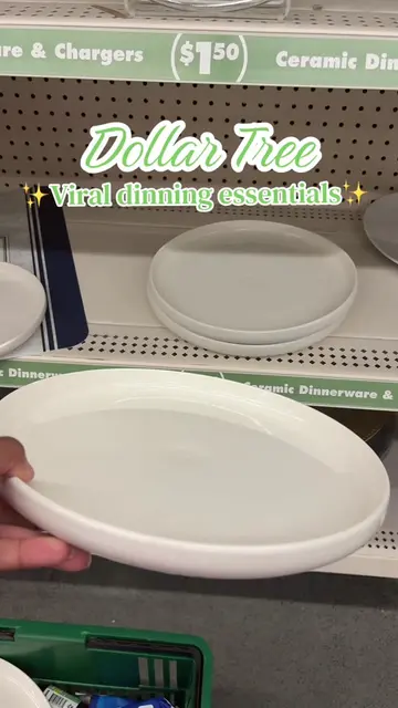 These new elevated raised edge plates from @Dollar Tree are giving MODERN & LUXU