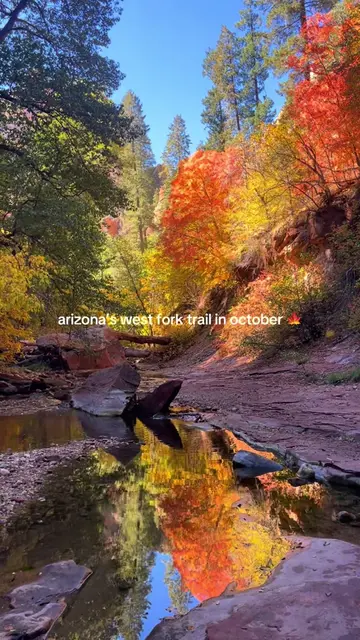 Arizona in the fall! 🍁📍West Fork Oak Creek Trail near Sedona