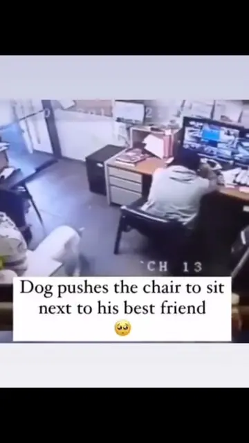 He doesn’t wait to be called. He doesn’t settle for sitting across the room. He 