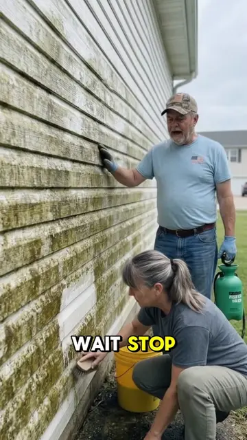 Algae on your wall? 🇺🇸 #Cleaninghacks #cleaningtips  #syntheticperformer 