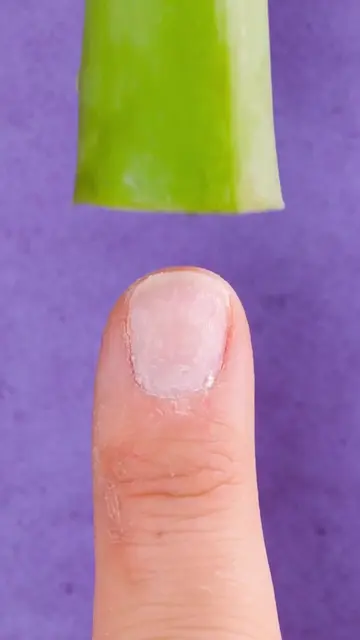 Simple Aloe Vera Recipes to Boost Your Everyday Care! #alovera #plantsoftiktok #