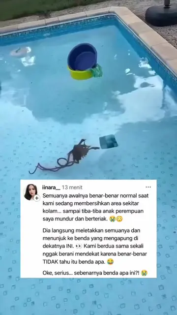 ada yg tau? 😳 #kolamrenang #bendaaneh #hewananeh #renang #kolam 