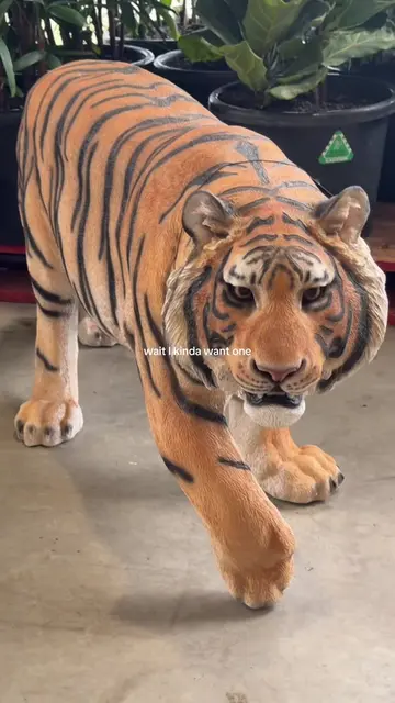 bunnings new zoo x 