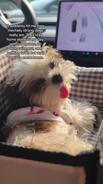 That's why whenever I can, I take her with me. She spends enough time waiting at