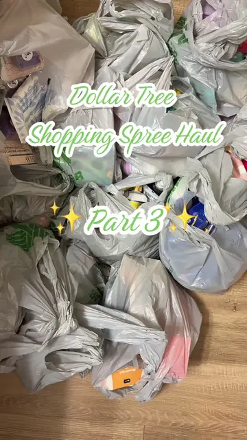 Backkkk with another Dollar Tree Shopping Spree Haul✨ yall already know it’s ano