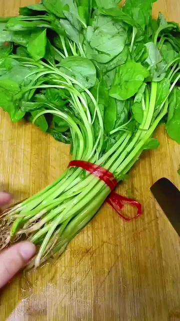 🌿 Fresh Spinach Harvest | Farm to Table Green Goodness