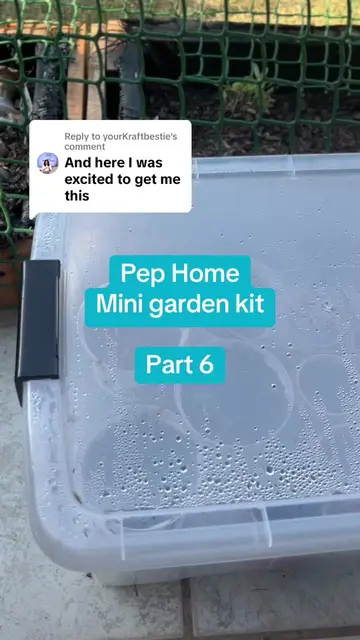 Replying to @yourKraftbestie 🌱 Pep Home Mini Garden Kit | Part 6 🌱 We finally 