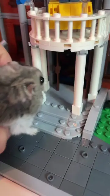 His new home❤️ #lego #legomarvel #meme #hampster #fyp 