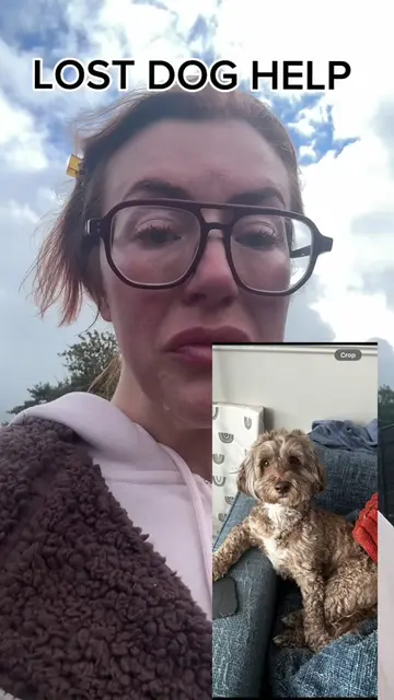 **FOUND** LOST DOG - please every little share around the area could help  #lost
