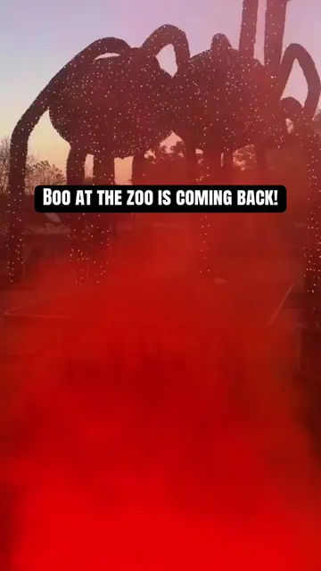 🎃👻 BOO AT THE ZOO IS COMING BACK! If you’re looking for a fun Halloween activi