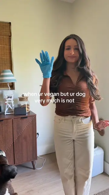 my emotional support glove 