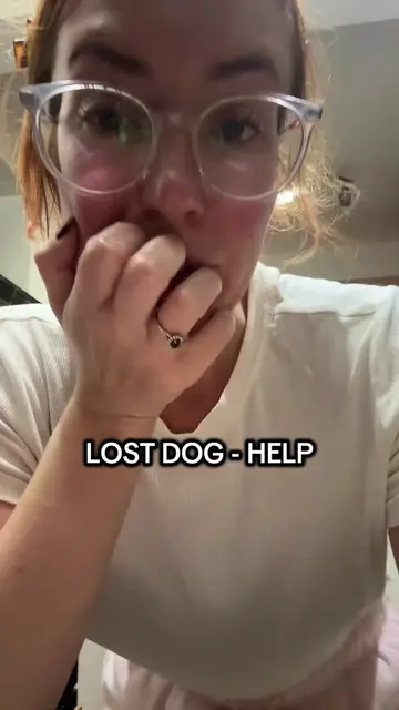**FOUND** I’m going to try and keep you all updated as much as I can  #lostdog #