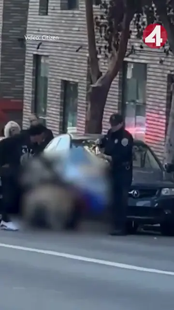 A woman was seriously injured in a vicious dog attack in San Francisco’s Tenderl