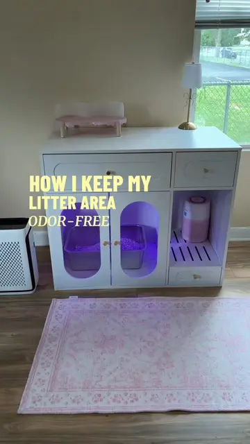 You can find everything in Amazon storefront! 🥹❤️ #catsoftiktok #litterbox #lit