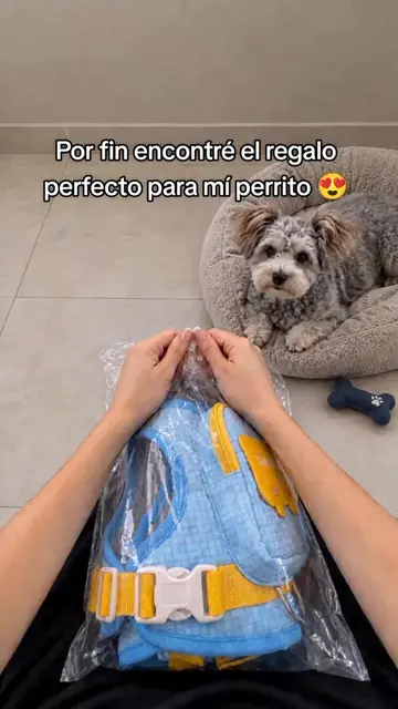 El regalo que no sabía que mi perrito necesitaba 🎁🐾 #dogaccessories #perritos 