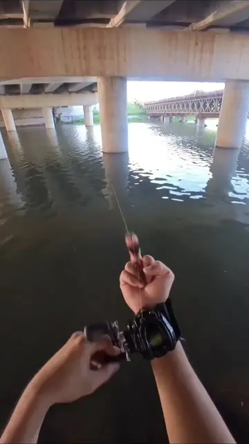 POV: You’re just trying to fish… but your fishing technique looks a little disre