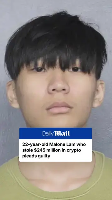 A 22-year-old Singaporean man has pleaded guilty to a racketeering conspiracy ch