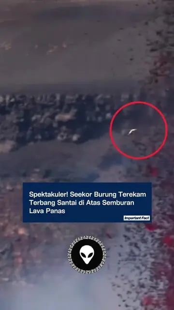 #vulcano #vulcan #indonesia #fyp #foryou 