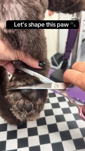 It’s the little details that make such a difference 🐾✂️ I love a nice rounded p