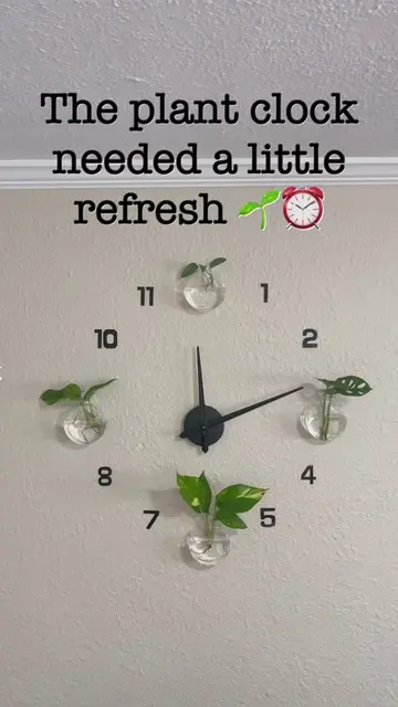 What plants should I put in it next?? 👀🌱                                      
