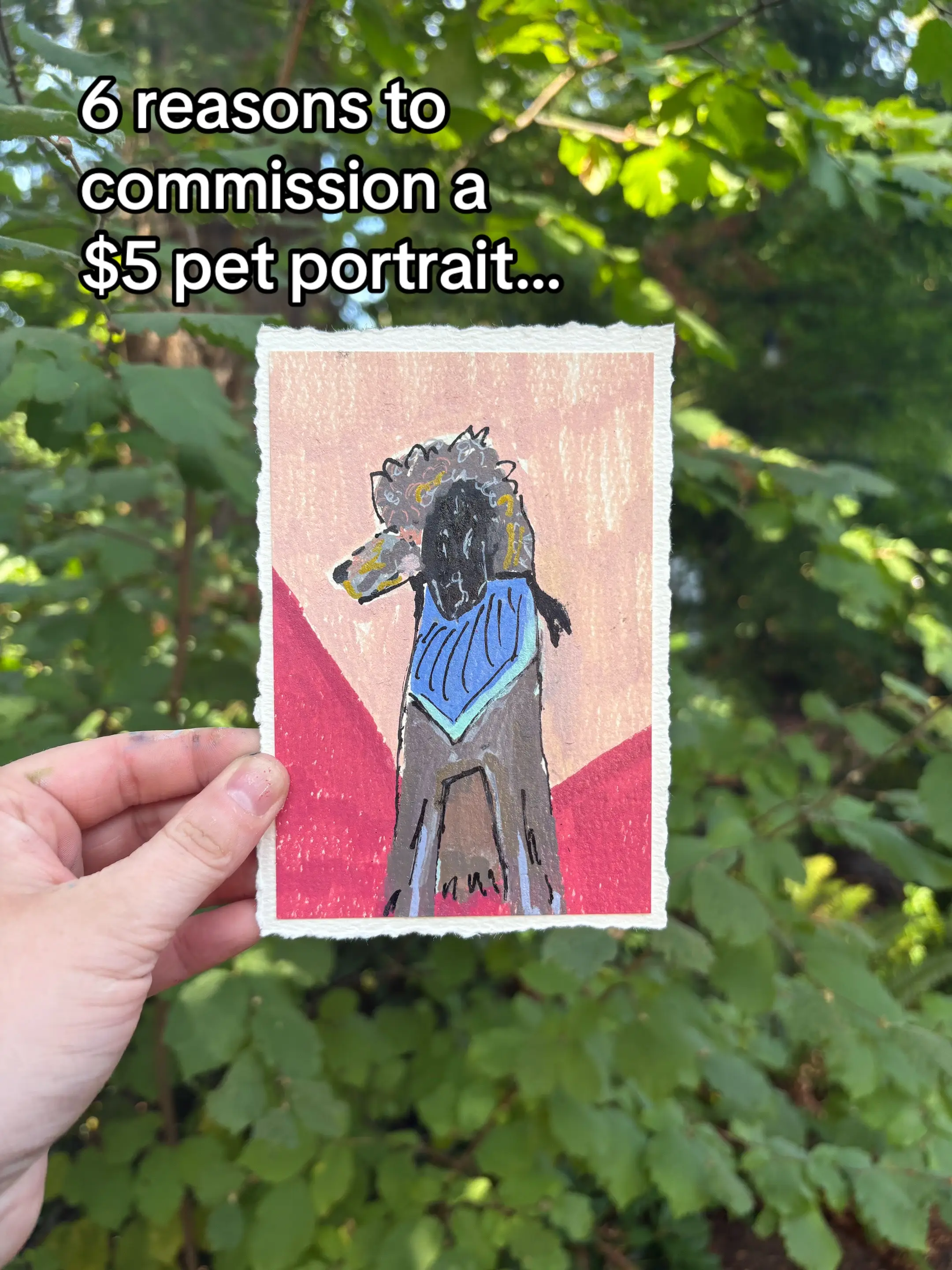 I think we’ll do a fewww more pet portraits. Send me a message and let’s figure 