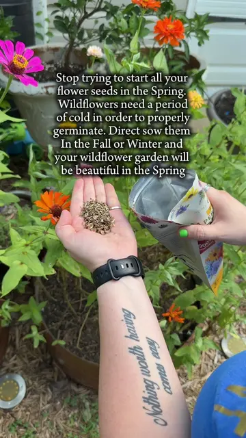 🌸 If your wildflowers are always looking bad this could be why. ❄️ A common mis