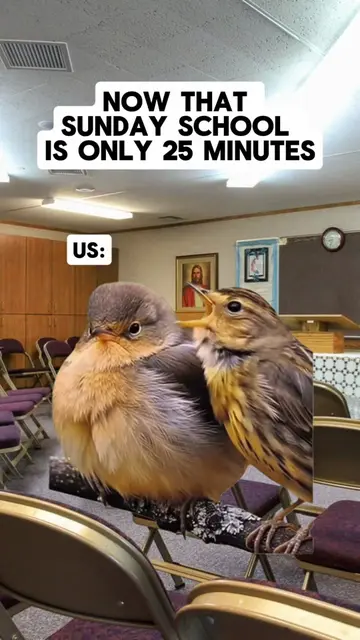 Now that Sunday School is only 25 Minutes #lds #ldstiktok #ldsmissionary #prolds