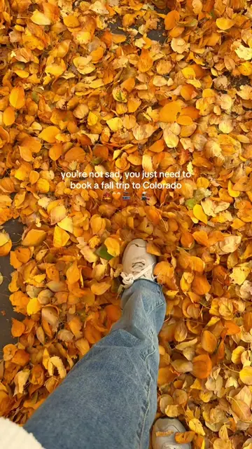 Fall in Colorado together??🥹🍁🫶 Follow us to find more hidden gems like this a