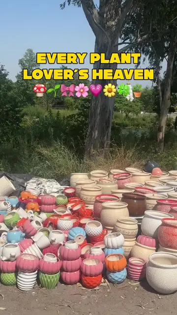 Pots, pots, and more pots! 😍🪴 #CeramicPots #PlantPots #Planters #GardenDecor #