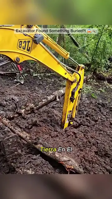 ExcavatorUnearthedAHiddenForestMystery🌲🤯 #HiddenDiscovery#Excavation#MysteryFi