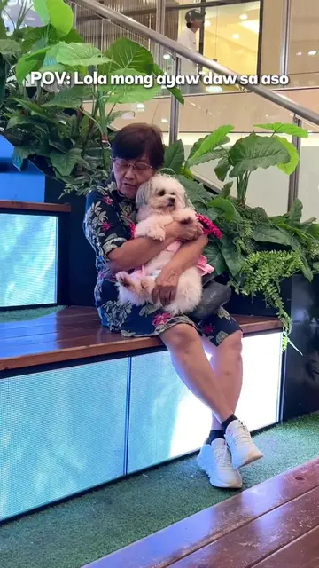 Lola said she didn’t want a dog but now the fur baby gets mall dates, treats, an