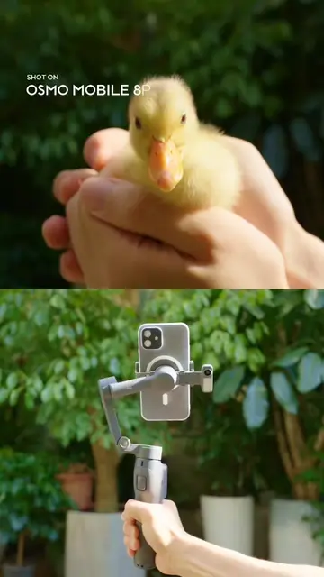 Steady like the duck head. DJI Osmo Mobile 8P keeps the frame steady with 3-axis