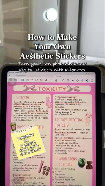 I CAN TURN MY CAMERA ROLL INTO STICKERS?! 😭🎀 I just found my new favorite Kilo