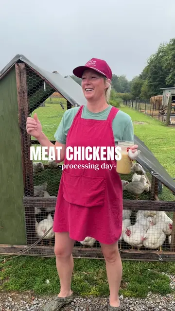 Chicken processing day - a demonstration WITHOUT a chicken for all the ones that